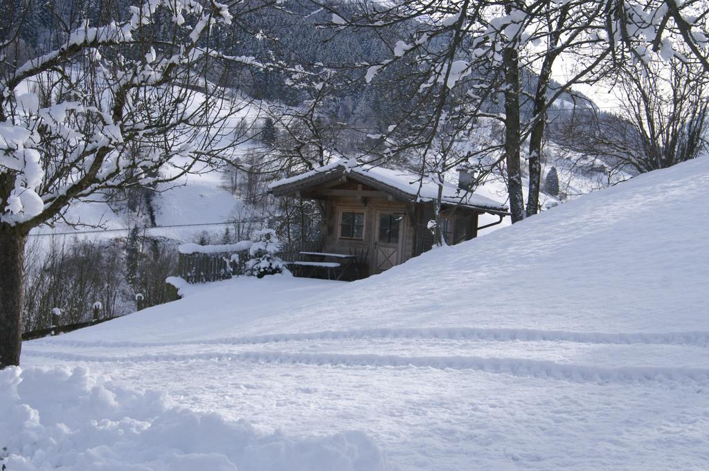 Vordergugg Farm stay *