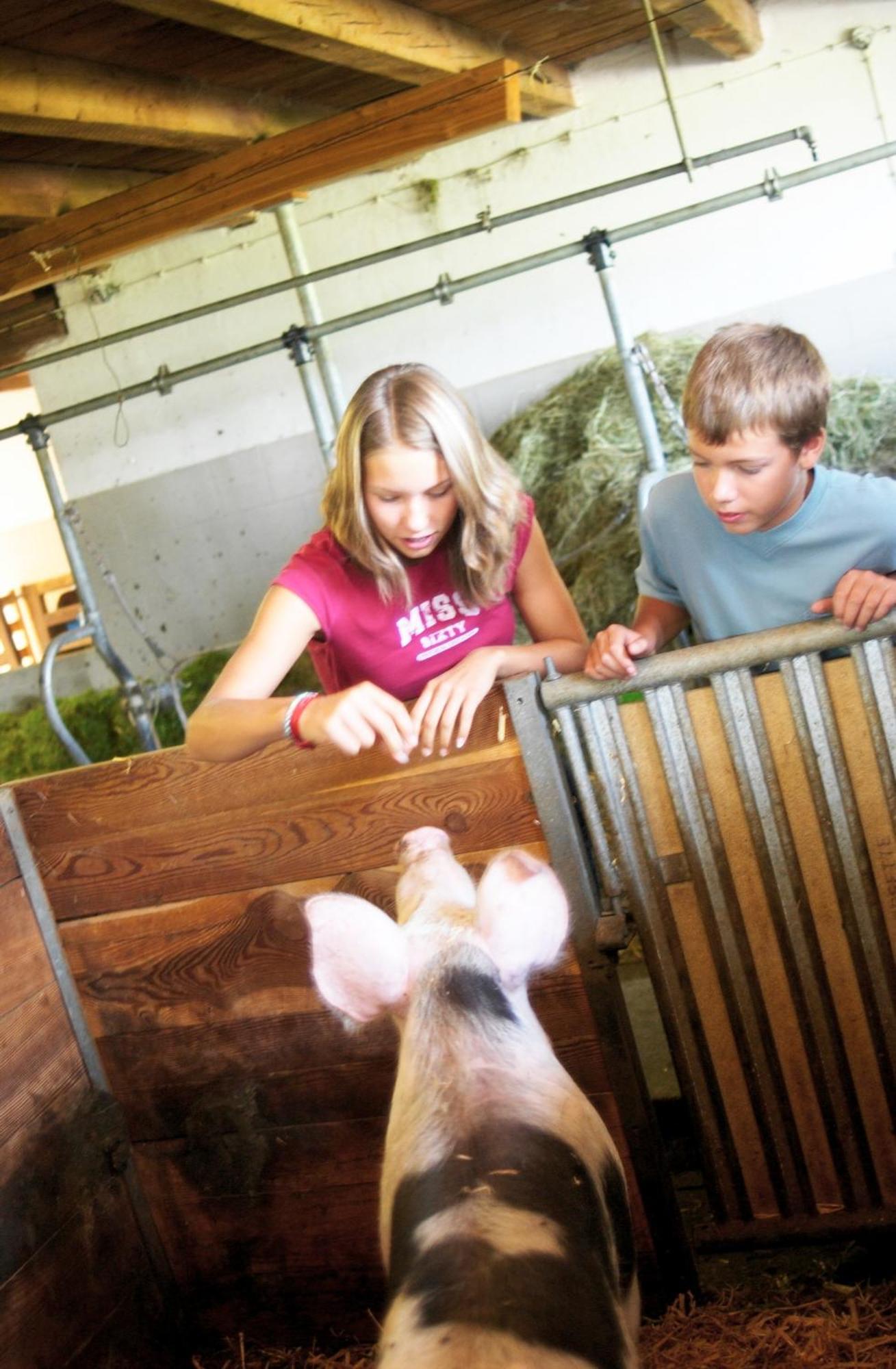 Farm stay Vordergugg *